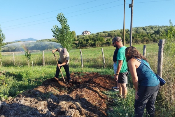 Migliorare la salute del suolo e la resilienza delle colture - Plantgest news sulle varietà di piante