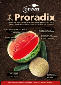 proradix-cucurbitacee-fonte-green-ravenna.jpg
