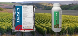Italpollina, l'innovazione al servizio della viticoltura sostenibile - le news di Fertilgest sui fertilizzanti