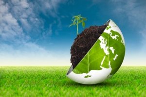 rinnovabili-greening-bioenergie-biocarburanti-biomasse-ambiente-sostenibilita-by-angelo19-fotolia-3888x2592