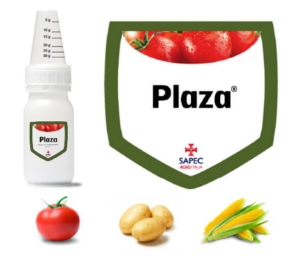 sapec-plaza-logo-2016.jpg