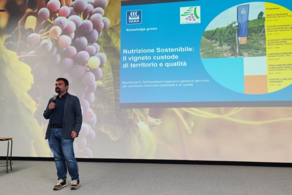 Vite: nutrizione sostenibile e gestione degli stress abiotici