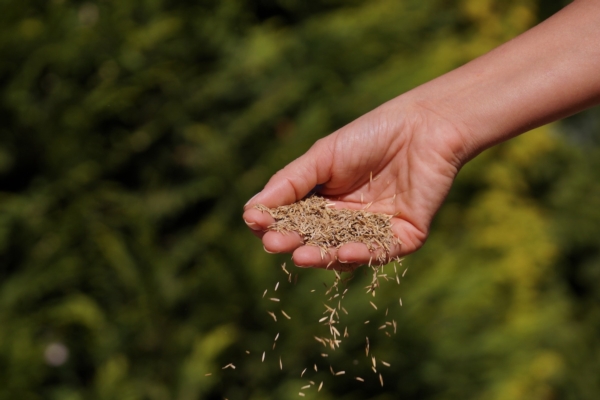 Assosementi apre ai vivai orticoli