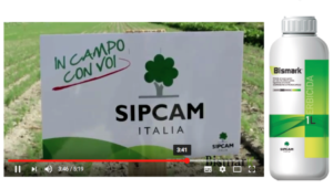sipcam-bismark-filmato.png