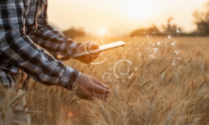 Agricoltura 5.0, la rivoluzione digitale sarà rigenerativa
