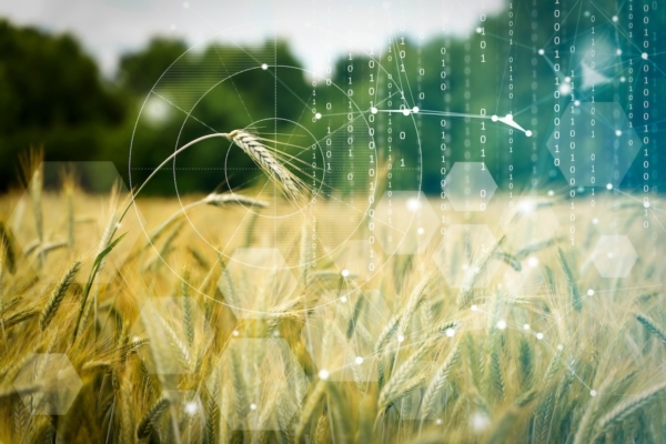Intelligenza artificiale: fondamenti, applicazioni e focus nel settore agricolo
