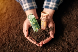 Prezzi d'affitto dei terreni agricoli, nel 2020 l'Italia segna il primato