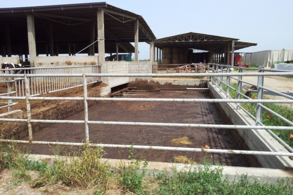 Lombardia, 12 milioni per ridurre le emissioni