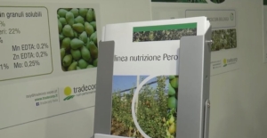 Tradecorp aiuta le piante con Turbo Root WG e Phylgreen - le news di Fertilgest sui fertilizzanti