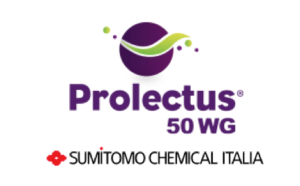 sumitomo-prolectus-50-wg-logo.png