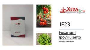 Suoli soppressivi per le fusariosi con IF23 - le news di Fertilgest sui fertilizzanti