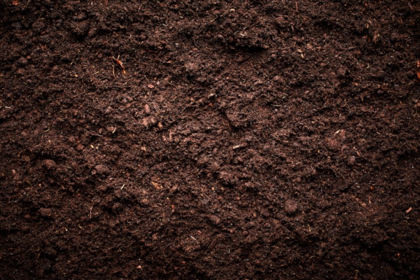 EVENTO - Chimica verde per la rigenerazione del suolo - le news di Fertilgest sui fertilizzanti