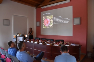 Pesco e susino: novità dalla sperimentazione made in Piemonte - Plantgest news sulle varietà di piante