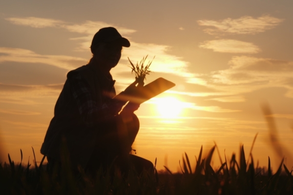 Fito Academy, iscrizioni aperte