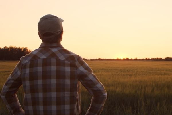 Fito Academy, formazione e rete nella difesa fitosanitaria