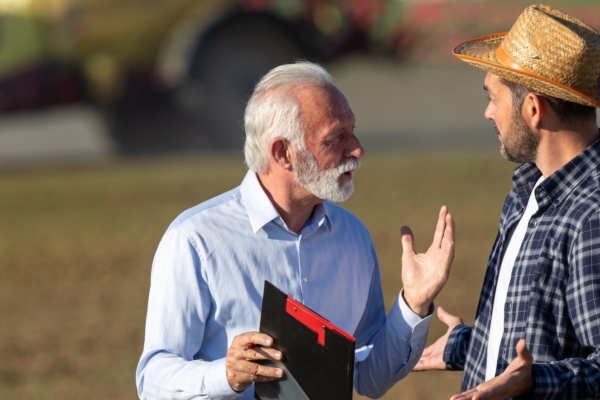Alberi che sconfinano, puntata seconda. Le risposte ai dubbi dei lettori