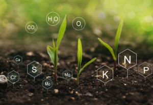 Digestato equiparato ai fertilizzanti chimici: nuove agevolazioni - le news di Fertilgest sui fertilizzanti