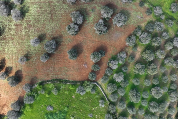 terrenolavorato-del-pix