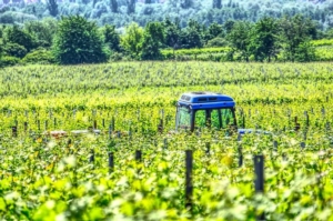 Innovazione e viticoltura: macchine e robot a Enovitis in Campo 2022