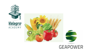 Valagro academy, le tappe in Sicilia - le news di Fertilgest sui fertilizzanti