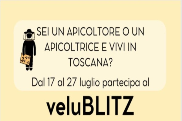 VeluBlitz, un monitoraggio sperimentale contro Vespa velutina in Toscana