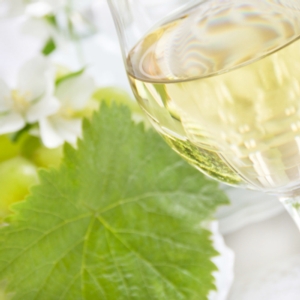vino-bianco-bicchiere-foglia-vite-by-photo-sg-fotolia-750
