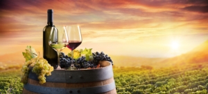 vino-bottiglia-bicchieri-botte-paesaggio-tramonto-by-romolo-tavani-fotolia-750