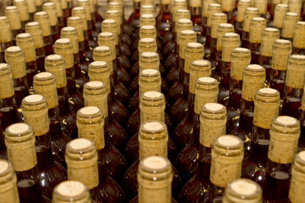 Emergenze fitosanitarie: primo aggiornamento di gennaio 2026