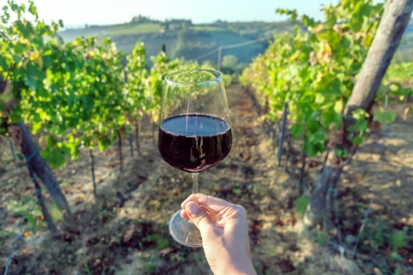 Il vino, molto pi&ugrave; di un alimento