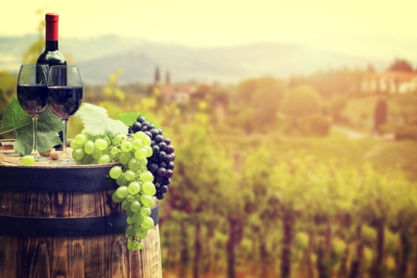 Slow Wine Fair 2026: la degustazione che diventa esperienza