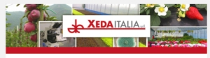 xeda-italia-front-home-page.jpg