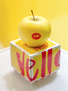 Yello<sup>®</sup>, la nuova mela gialla all'esordio commerciale - Plantgest news sulle varietà di piante