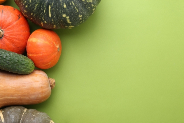 La difesa delle cucurbitacee secondo BIOGARD<sup>&reg;</sup>